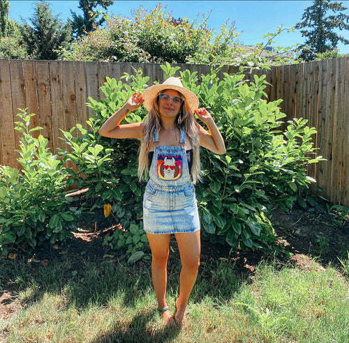 Disco Llama FIshman Donut + Tie Dye Appliqué Denim Overall Dress