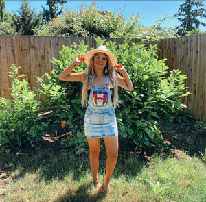 Disco Llama FIshman Donut + Tie Dye Appliqué Denim Overall Dress