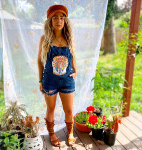 Phil & Friends Overall Shorts - 27