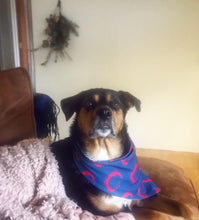 Fishman Bernie Sanders Bandana (large bernie donuts)